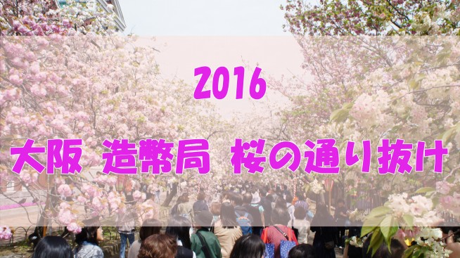 大阪 造幣局桜の通り抜け16 に行ってきた これこそ大阪が誇る最強の桜祭りだ Love Wife Life